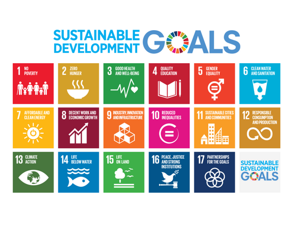 Sustainable development goals Image013